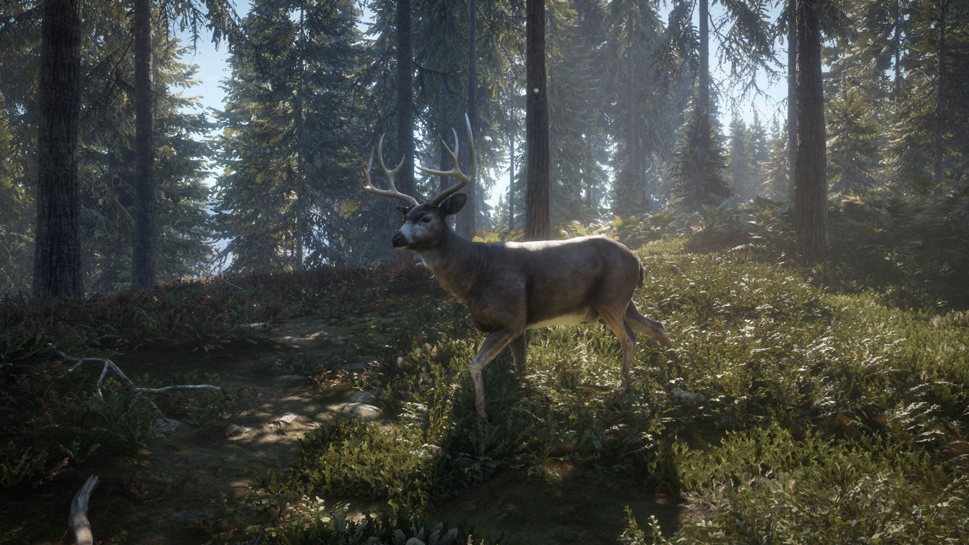 theHunter: Call of the Wild™ – Hunting Starter Bundle (2025) - featuredMedia