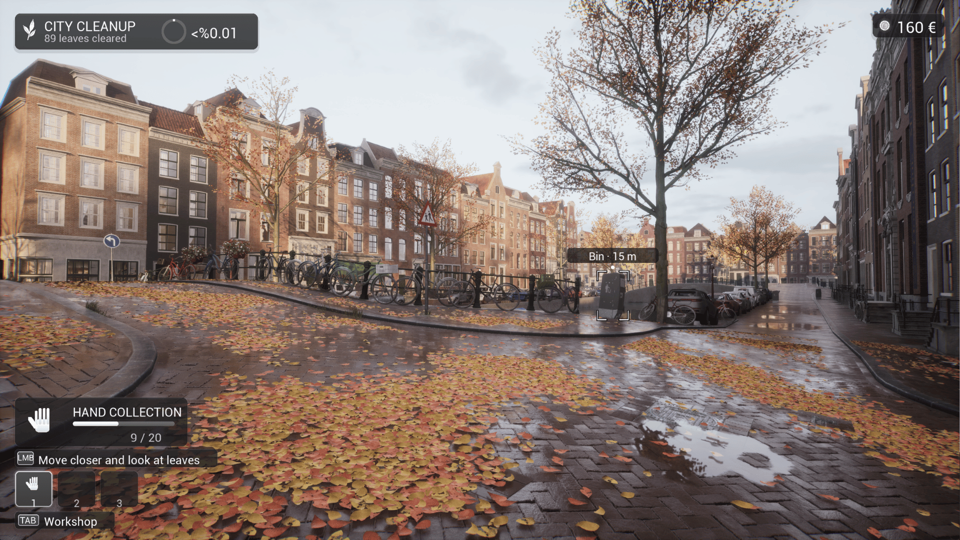 Amsterdam: Autumn Street-5ddmw
