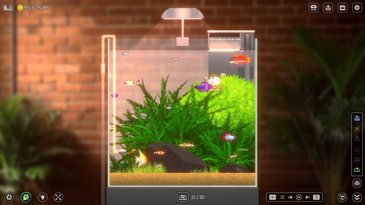 Joyquarium-13m8i