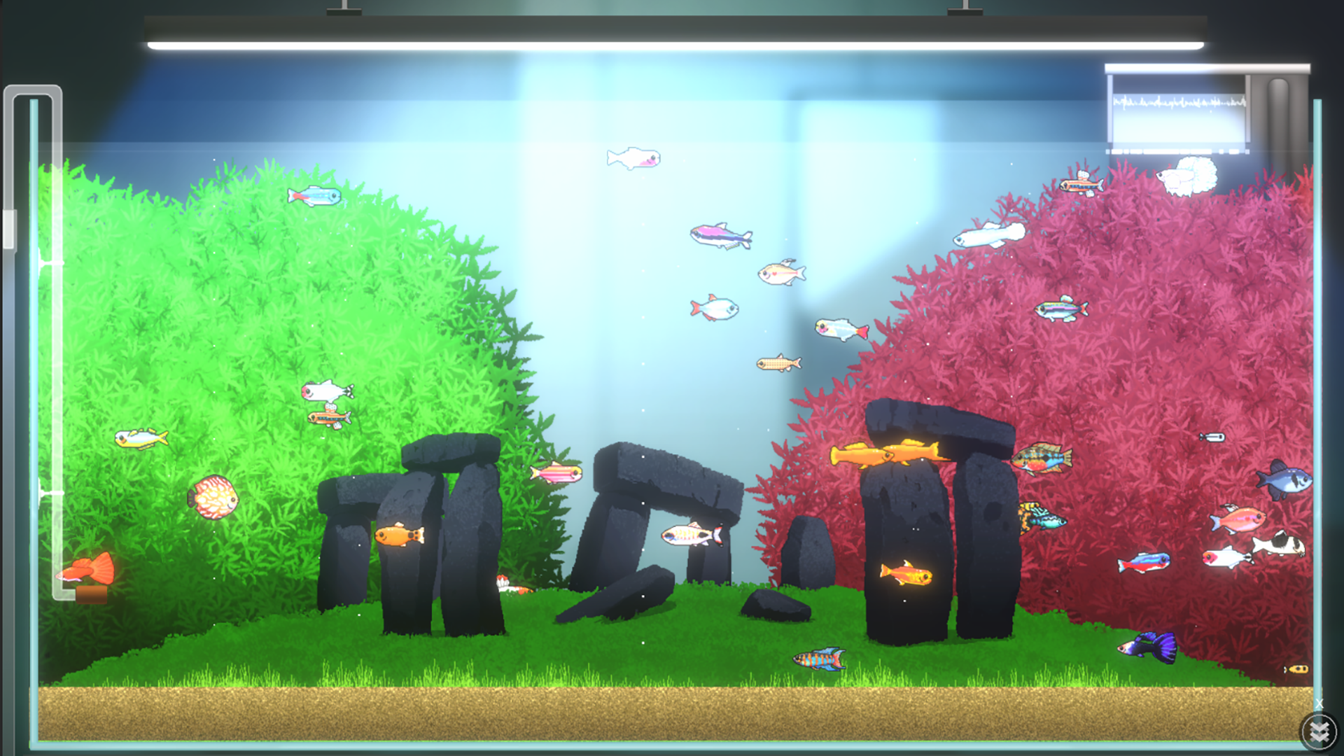 Joyquarium-1tawx