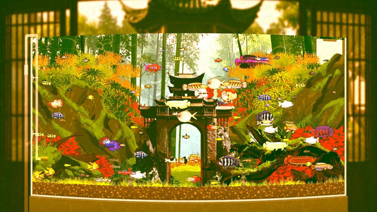 Joyquarium-3ejwv