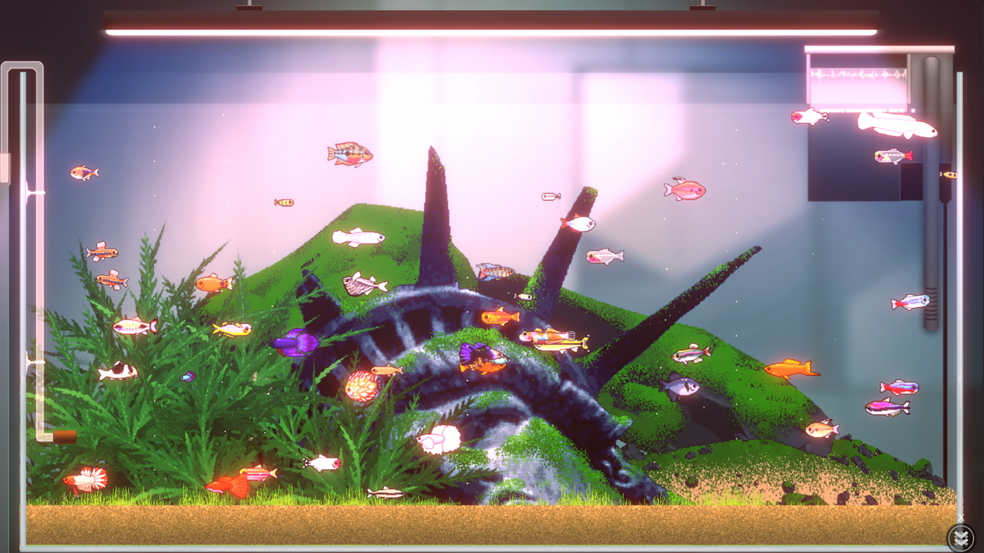 Joyquarium-ncu0a