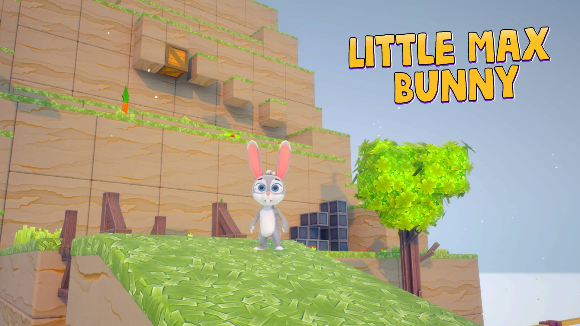 Little Max Bunny