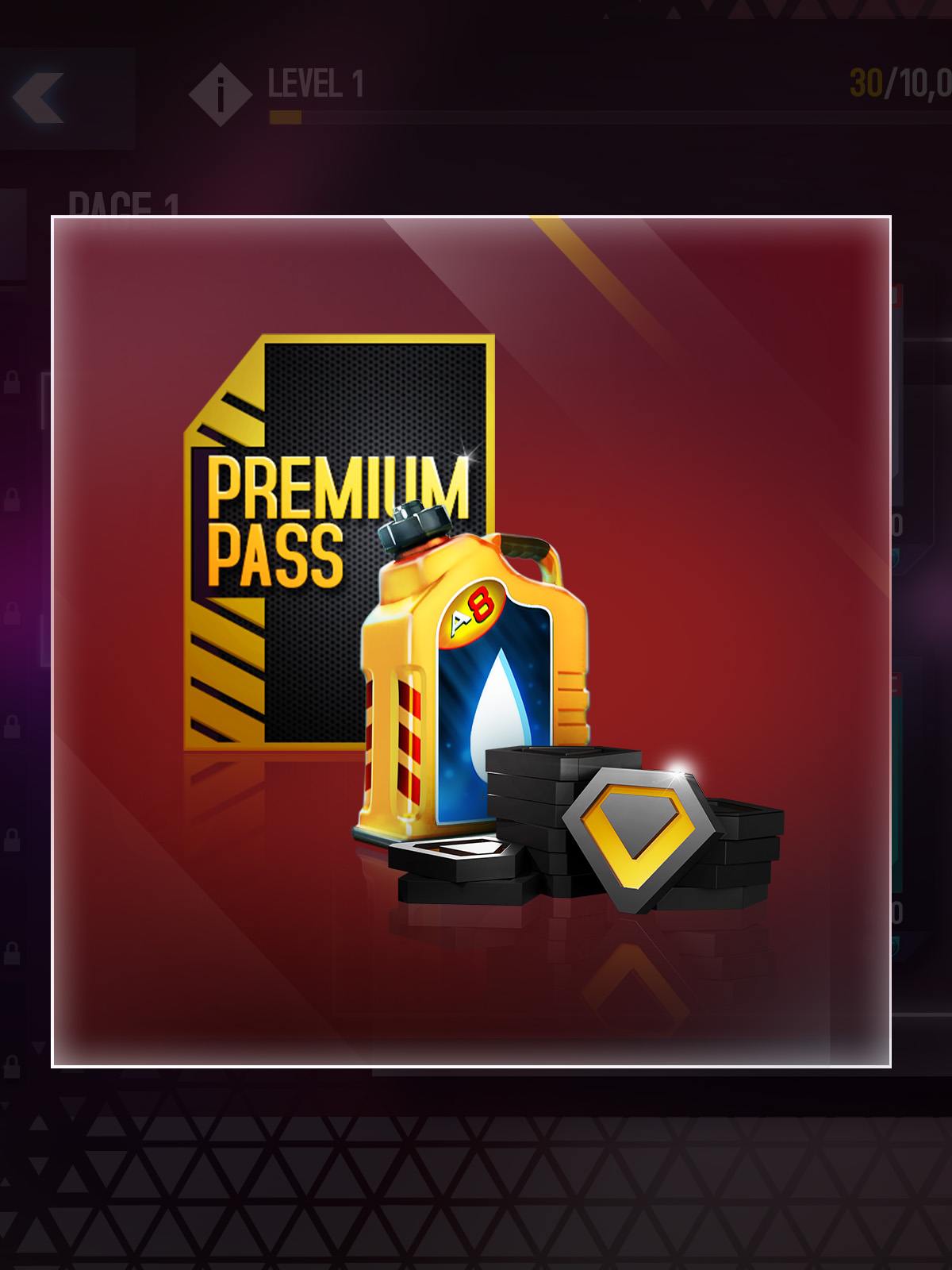 Premium Pass T15
