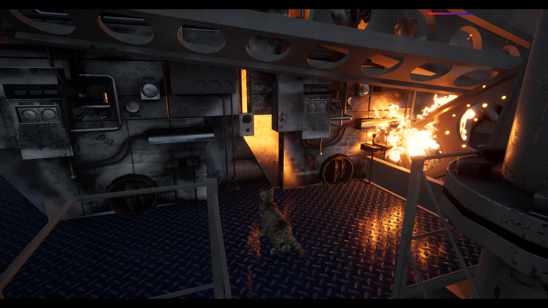 Ship's Cat-1fwii