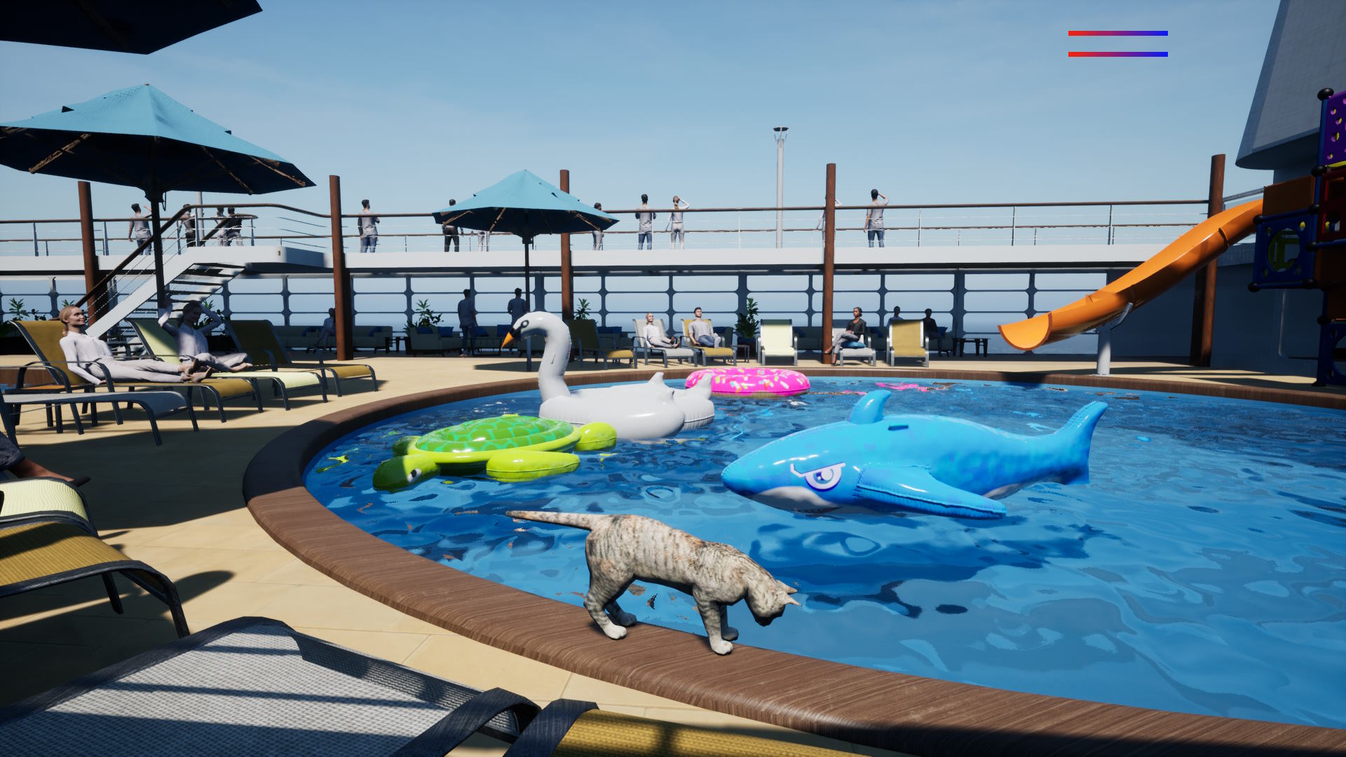 Ship's Cat-qc4k4