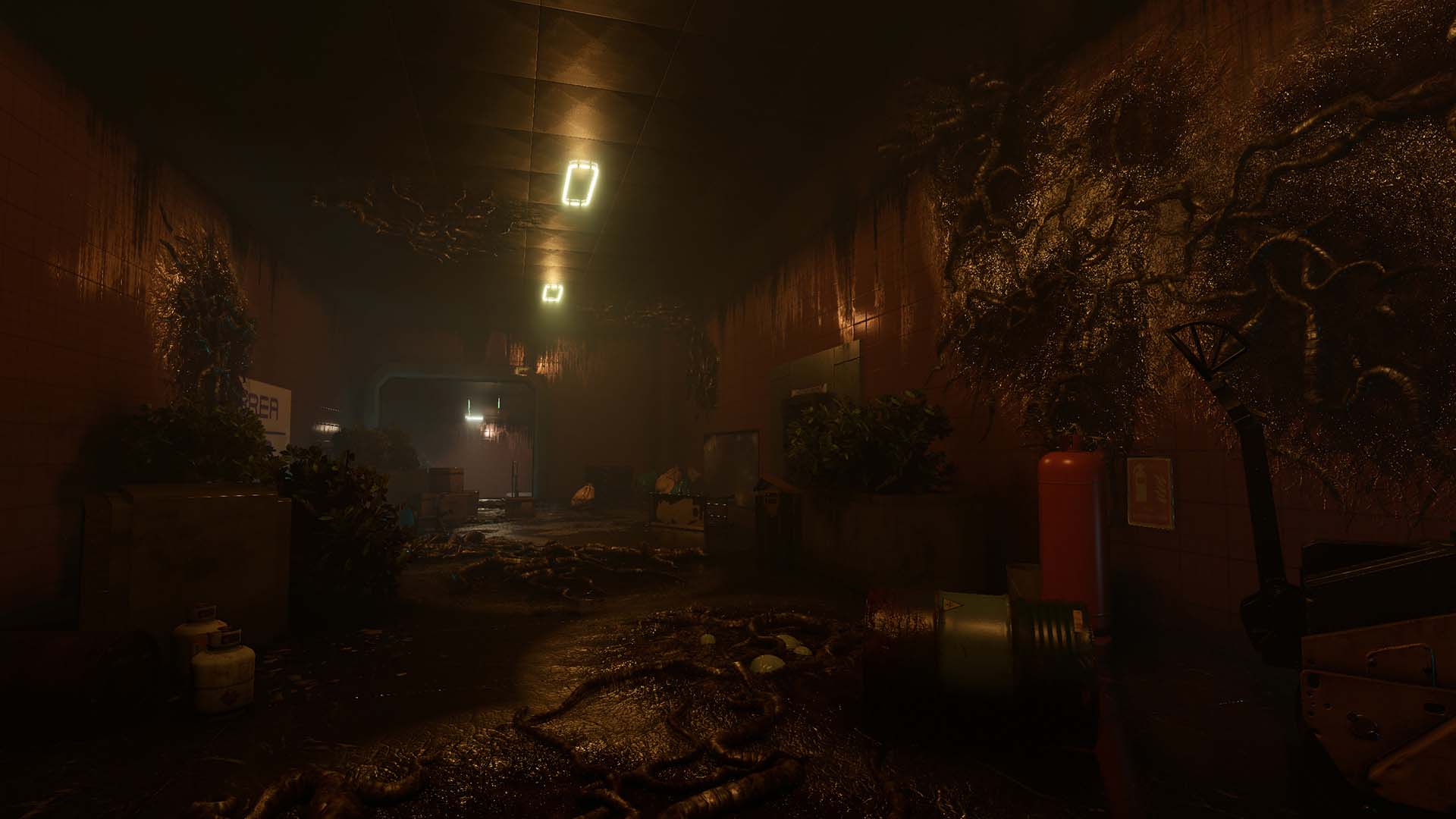 098f6bcd4621d373cade4e832627b4f6