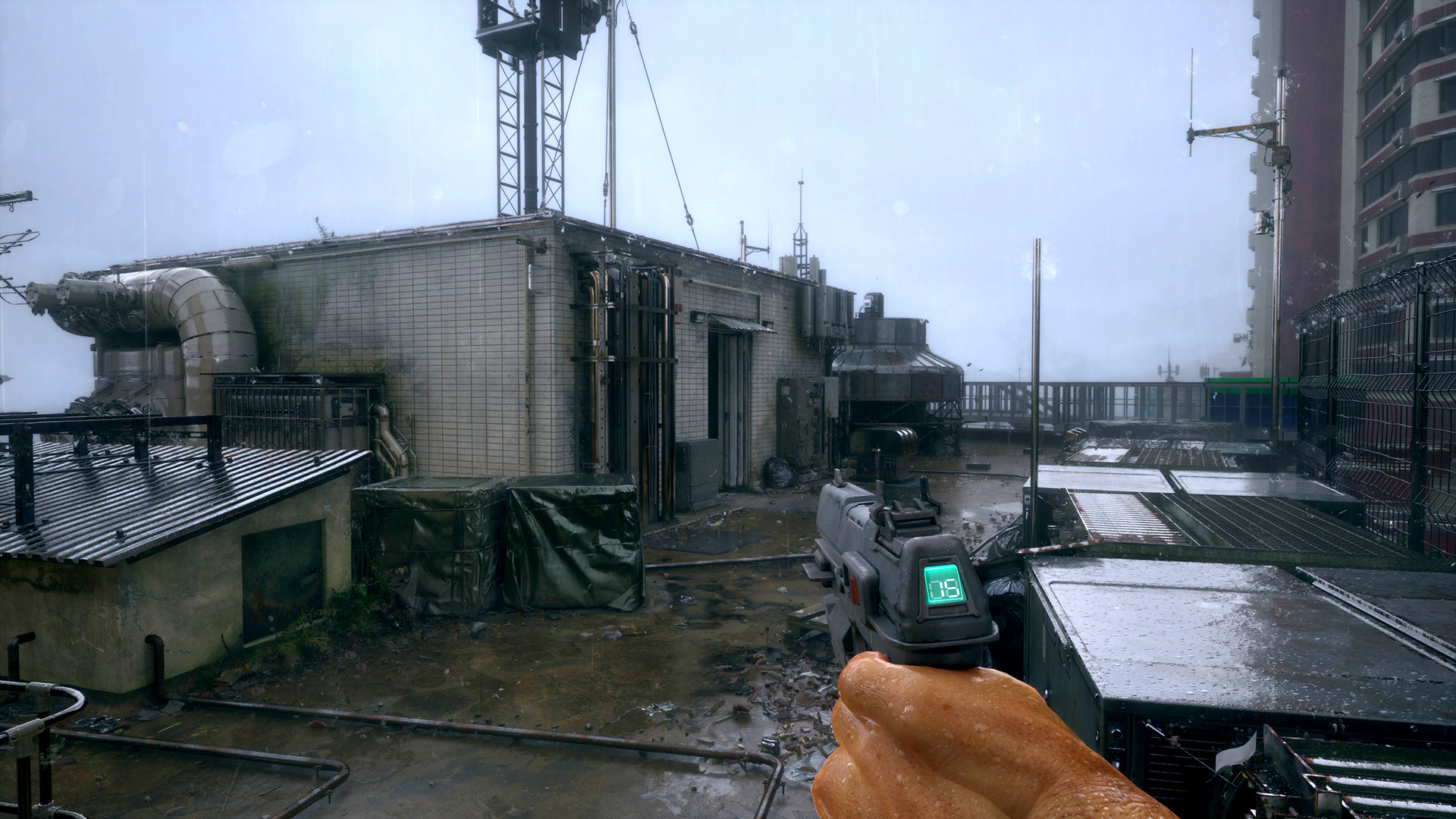 NO LAW - featuredMedia