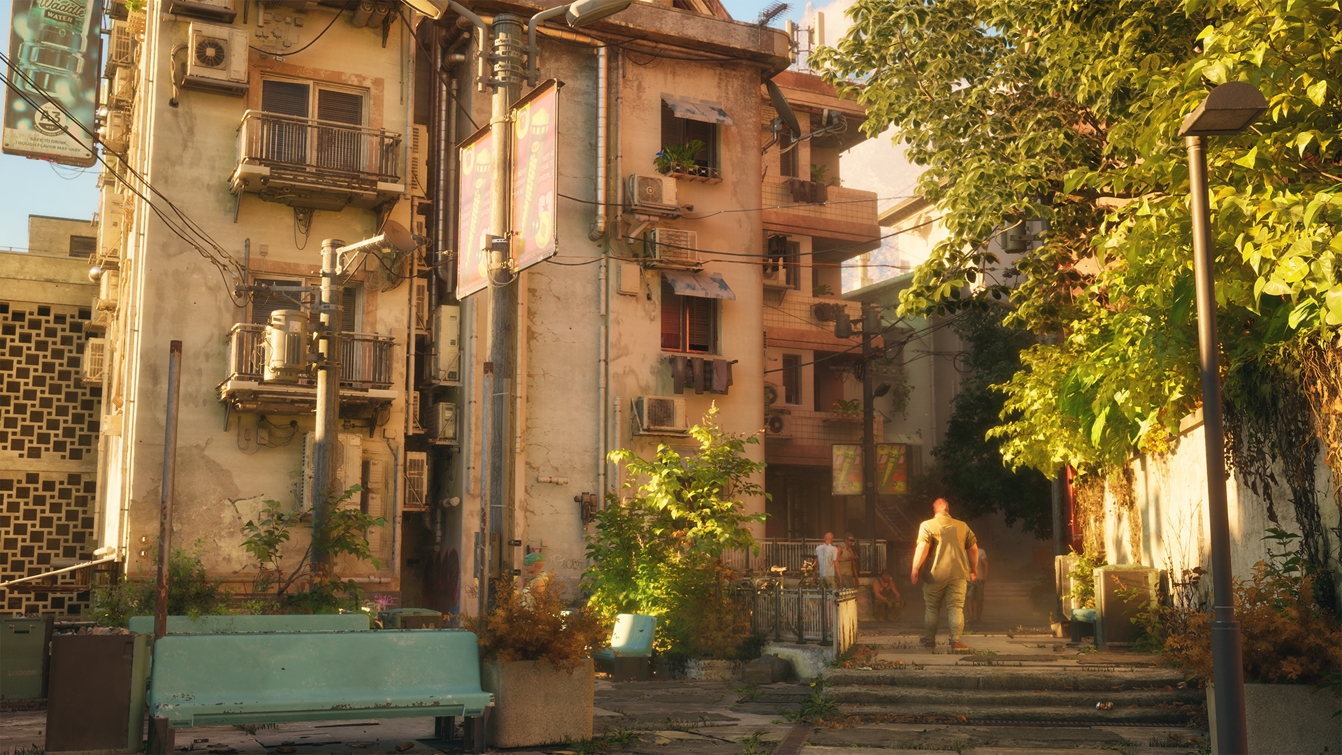 NO LAW - featuredMedia