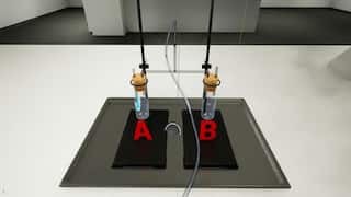 Oman Biology 10 screenshot 1