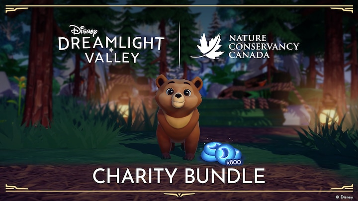 Grizzly Bear Cub Bundle for Charity