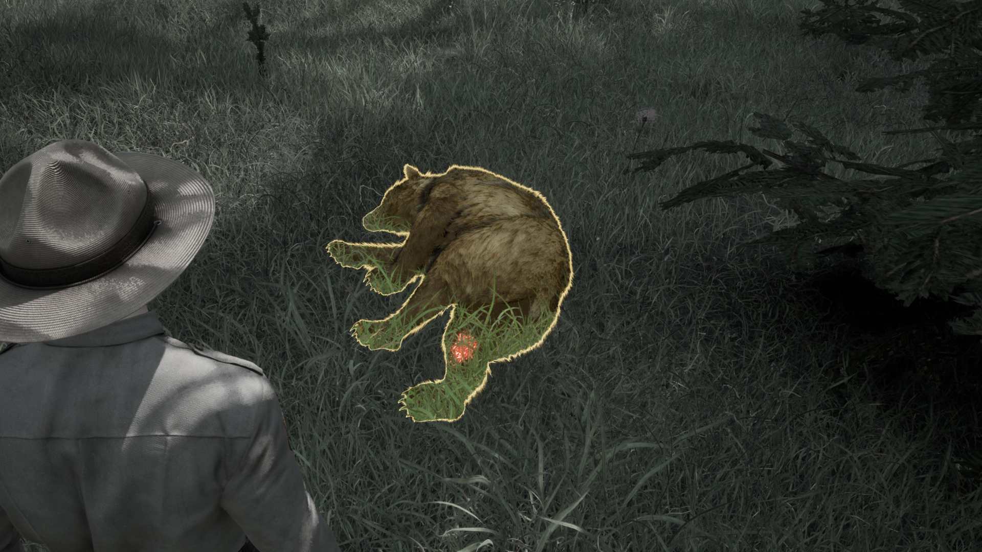 Ranger's Path: National Park Simulator-1e6rt