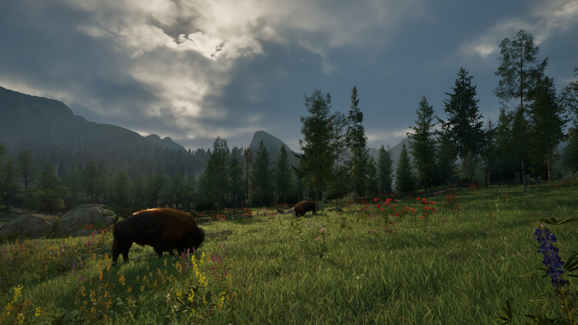 Ranger's Path: National Park Simulator-1yynl