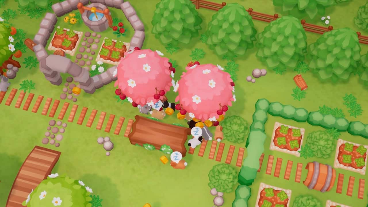 Carousel slide 6