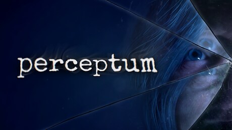 Купить ключ дешево Perceptum