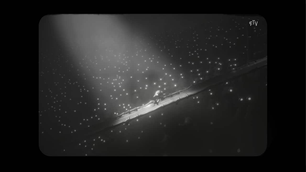 Carousel slide 7
