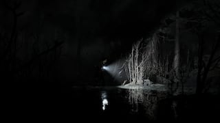 Silver Pines screenshot 5