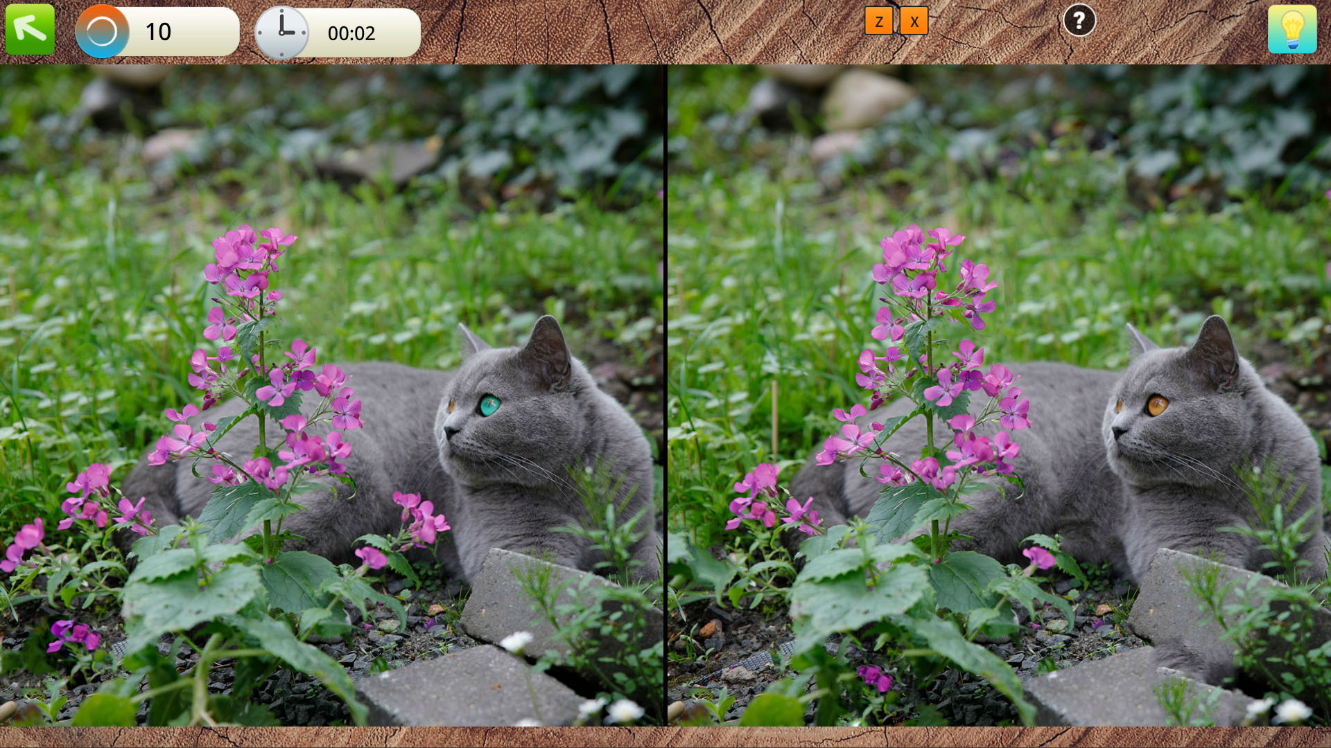 Peaceful Gardens 2: Cute Cats Collector's Edition-10eye