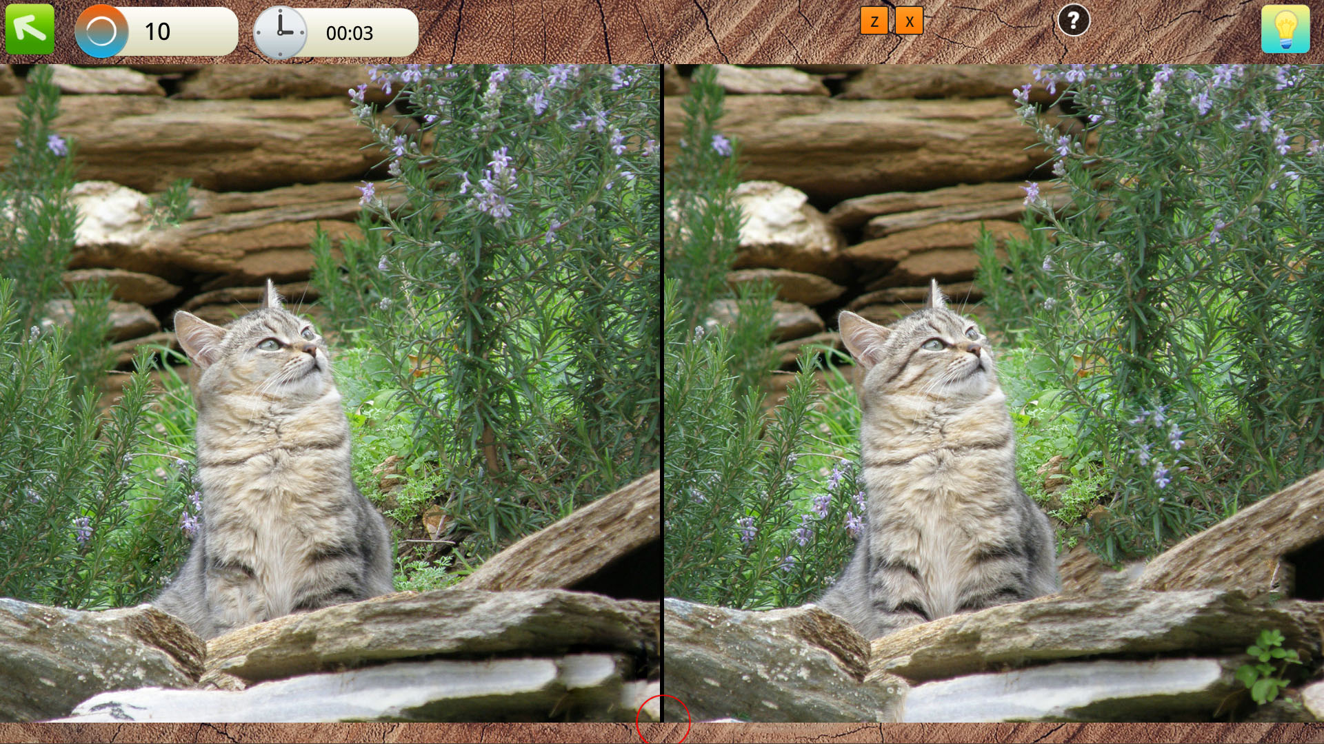 Peaceful Gardens 2: Cute Cats Collector's Edition-1yhqf