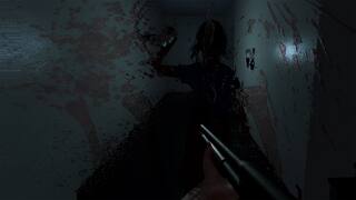 Mirror Of Darkness screenshot 5