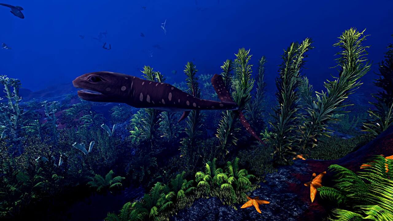 Ecosystem-1hywx