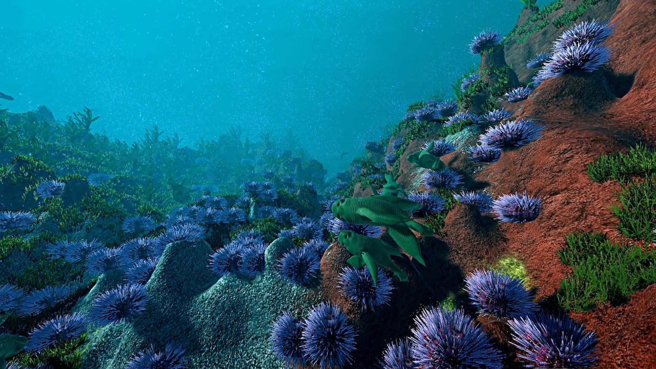 Ecosystem-1weov