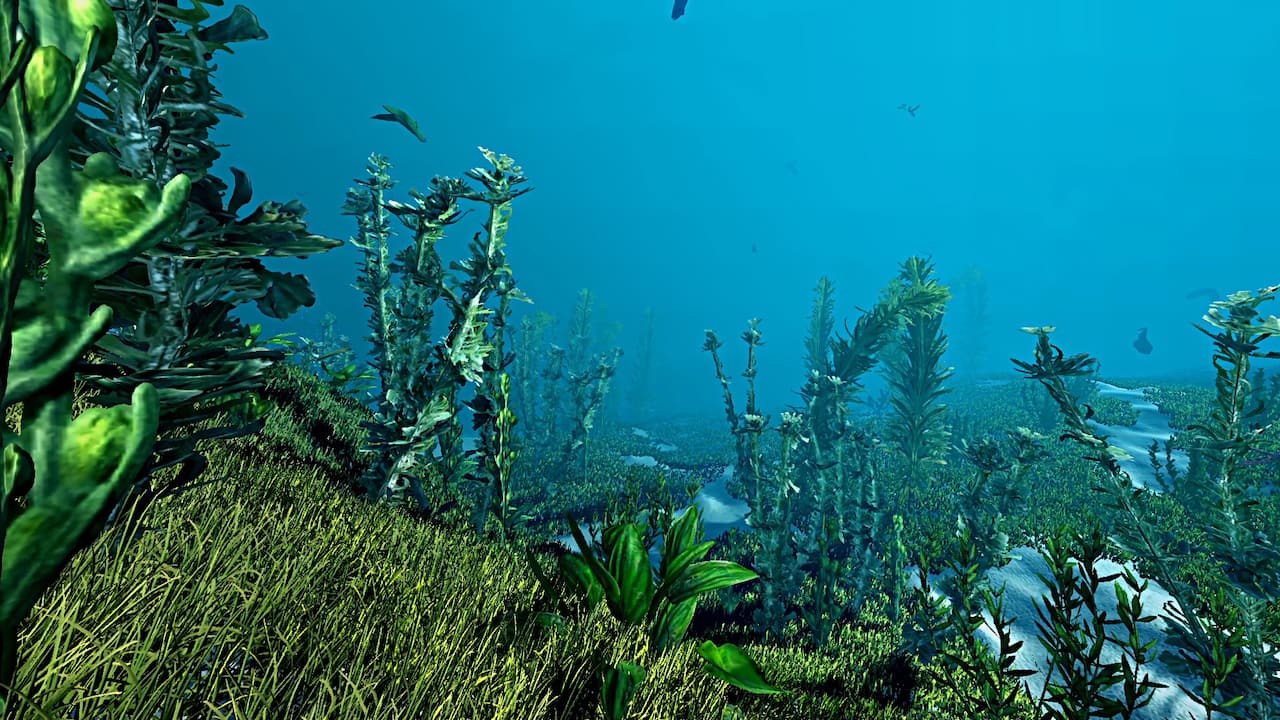 Ecosystem-773wf