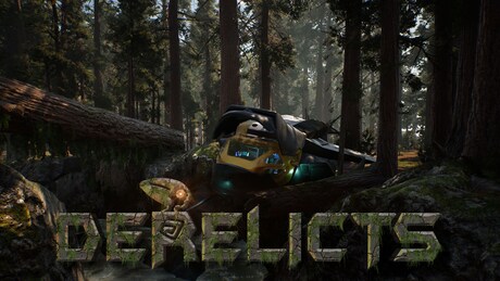 Купить ключ дешево Derelicts