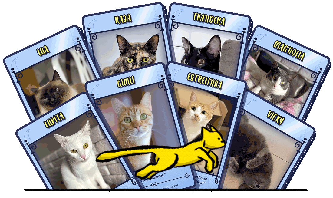 Hidden Cats in Paris-101oj