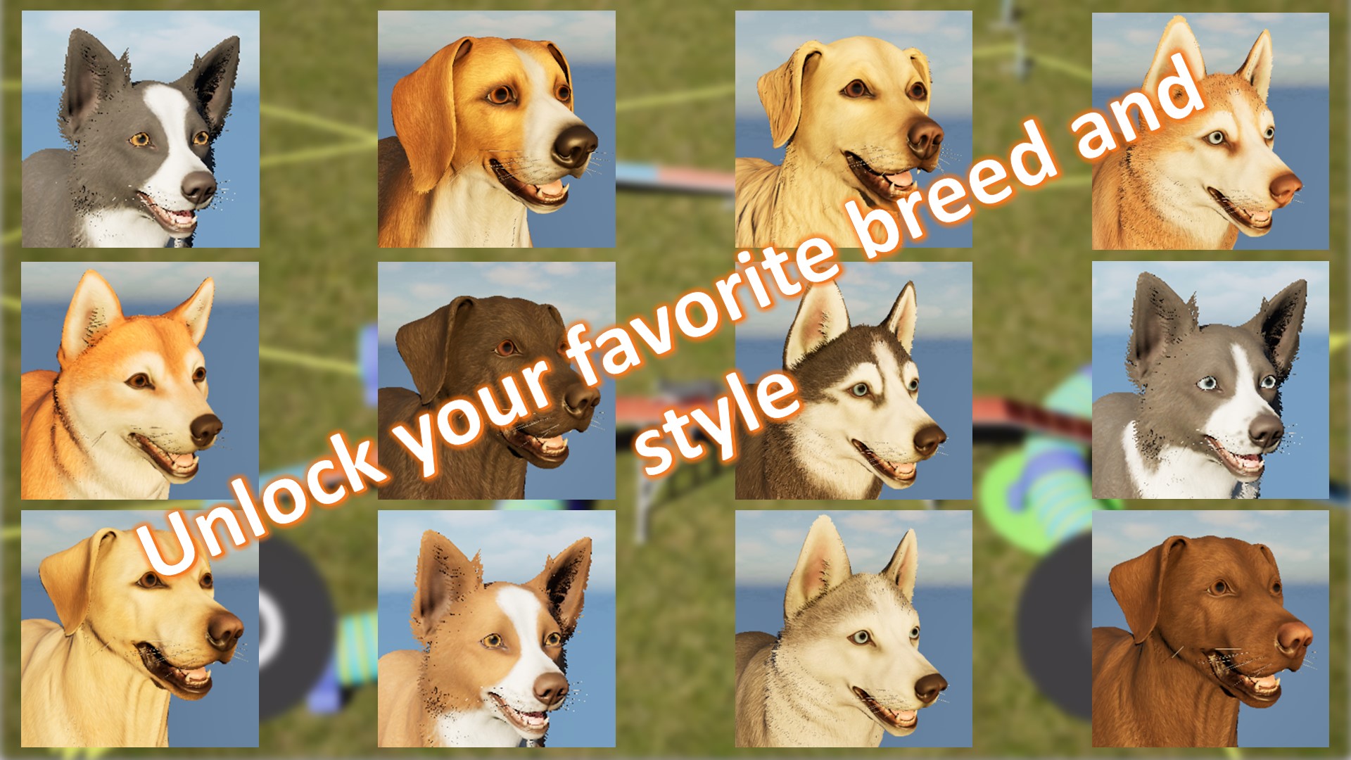 Agility Game-1j665