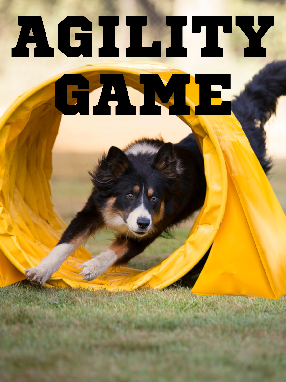 Agility Game