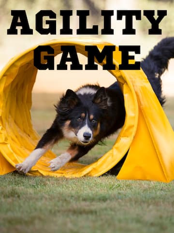 Agility Game