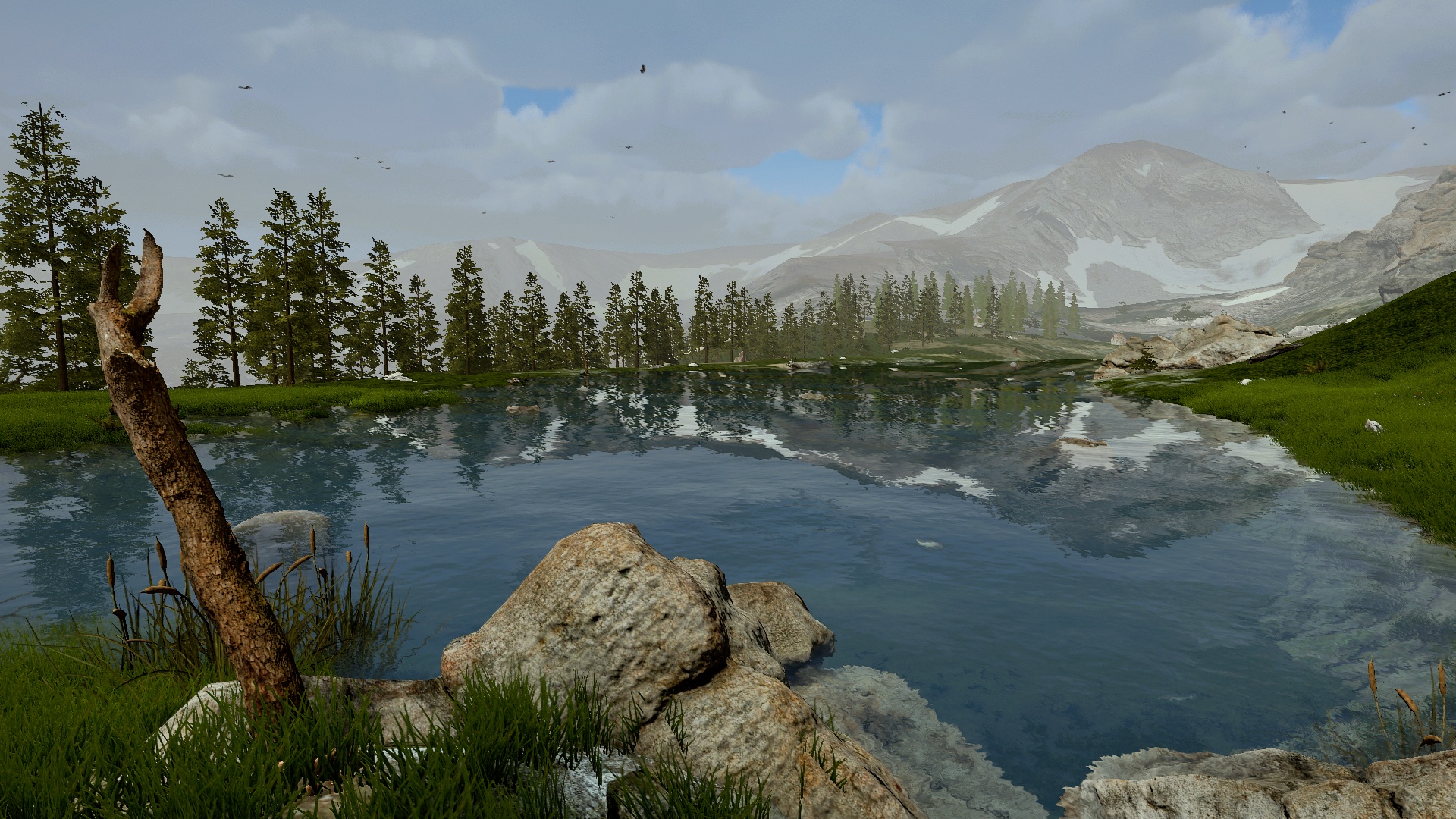 Ultimate Fishing Simulator-14nm5