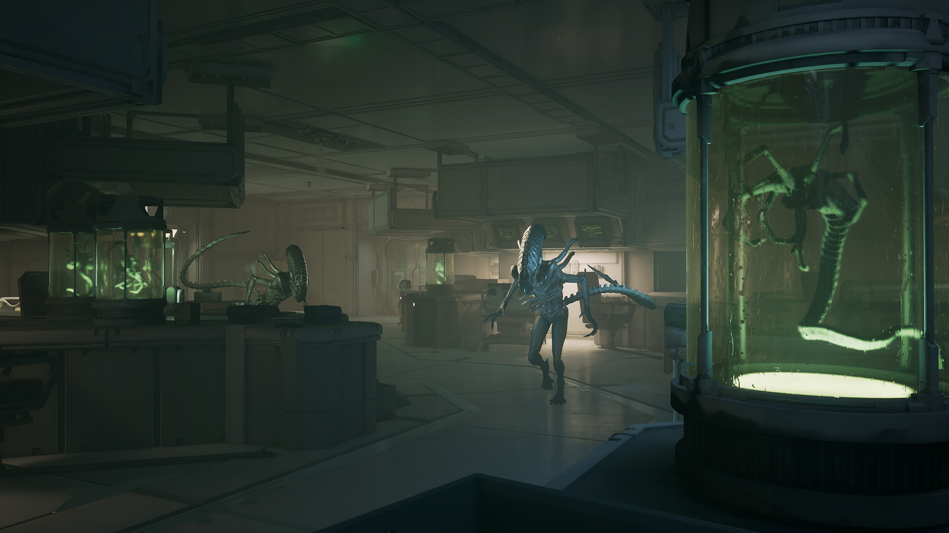 Alien: Rogue Incursion Evolved Edition-eku8q