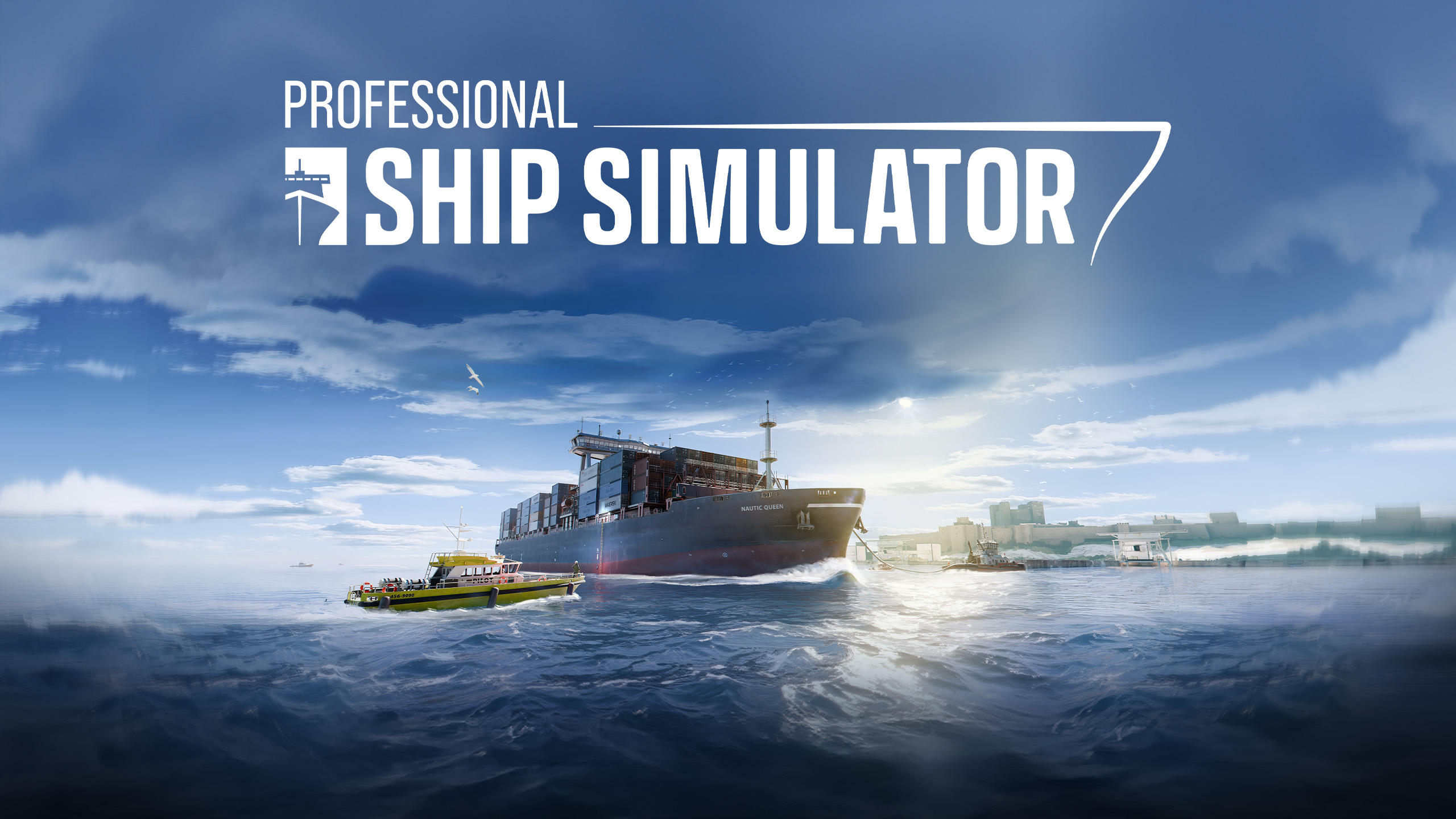 Professional Ship Simulator