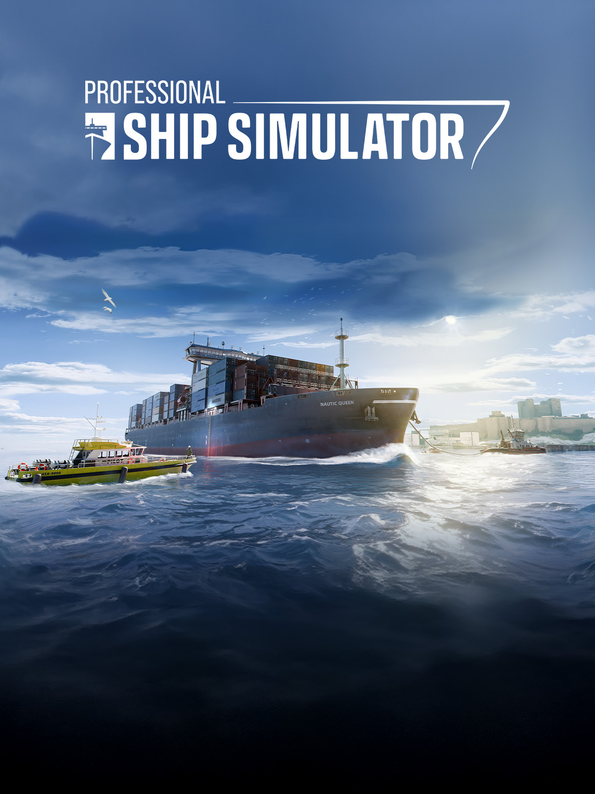 Professional Ship Simulator