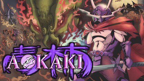 Купить ключ дешево AOKAKI