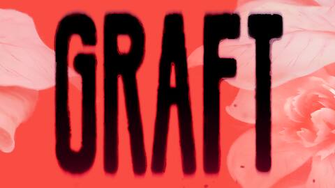 GRAFT