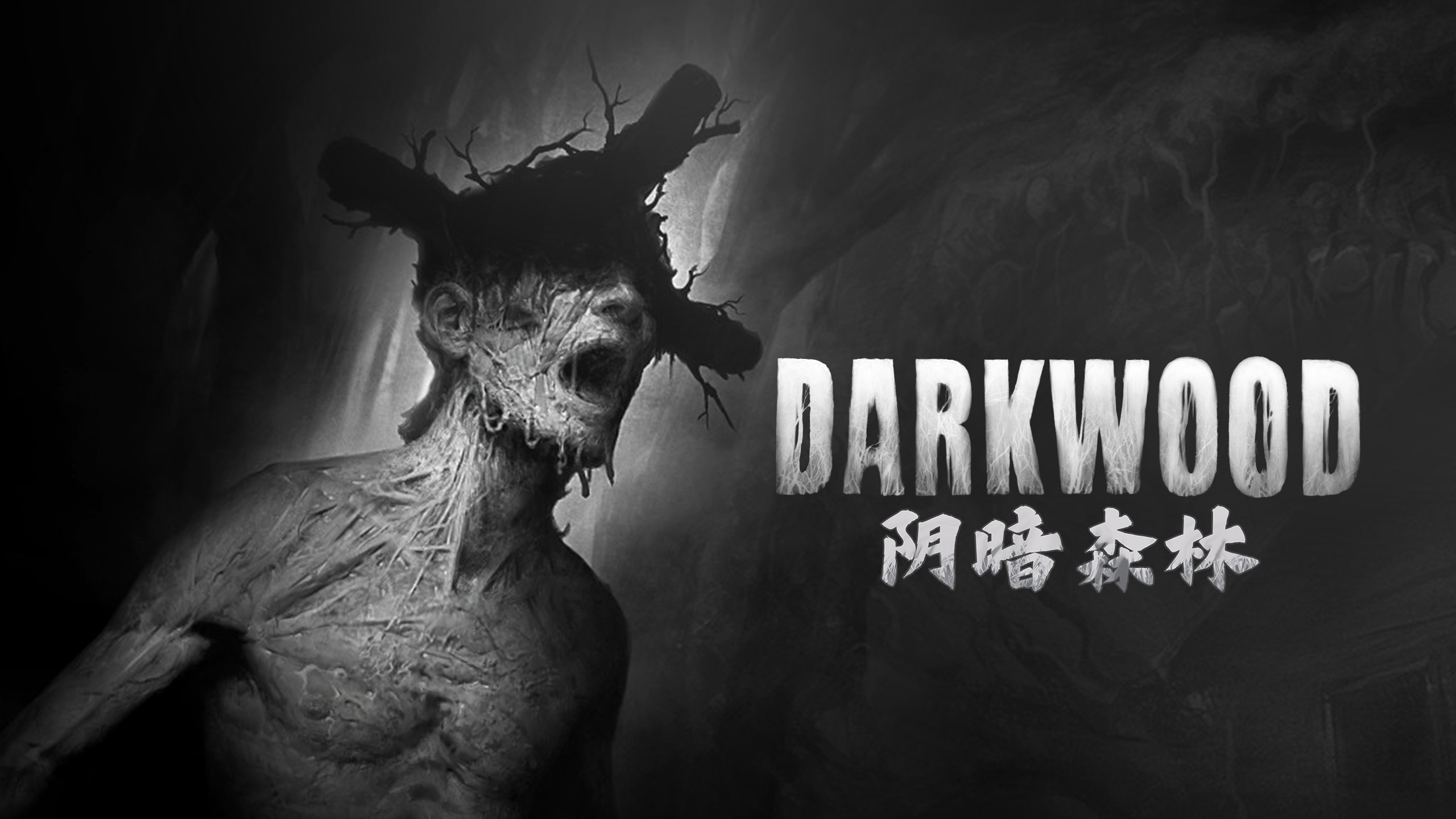 阴暗森林 Darkwood