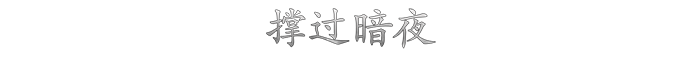 Darkwood-9o220