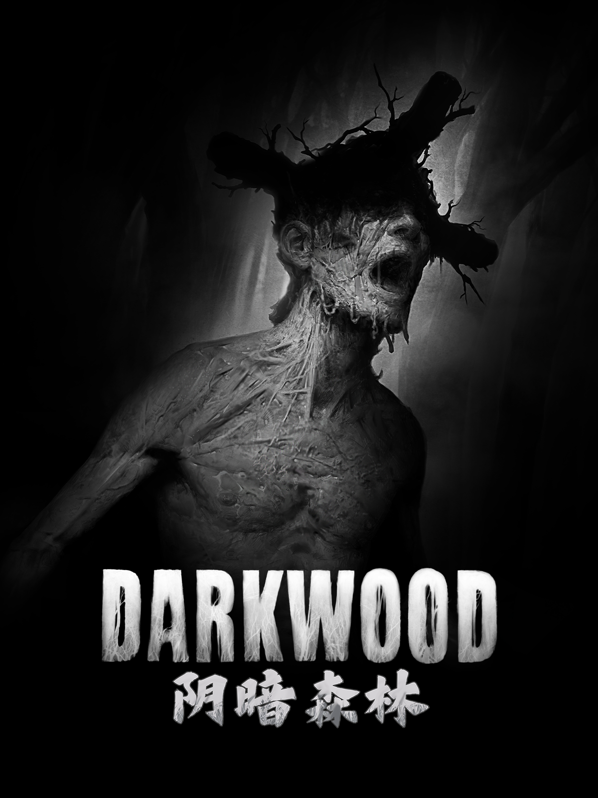 阴暗森林 Darkwood