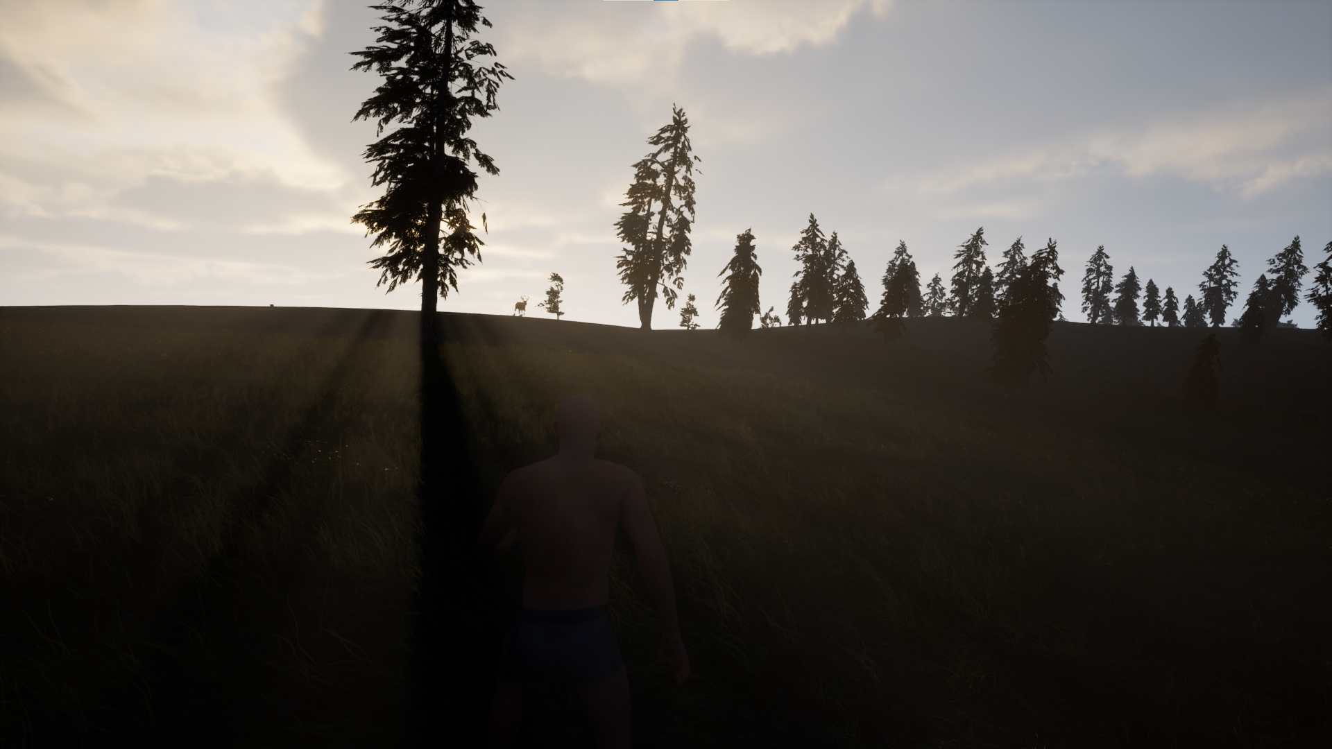 Fade Survival-11lhy