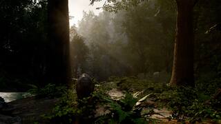 FIRE: The First Dreamer screenshot 3
