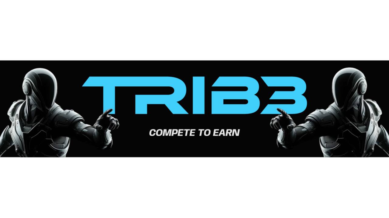 TRIB3: Beta PC gameplay screenshot 1 of 1