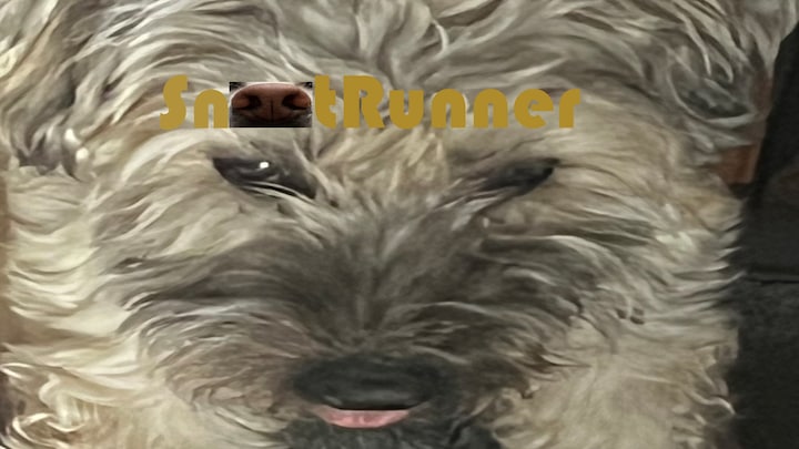 Snoot Runner