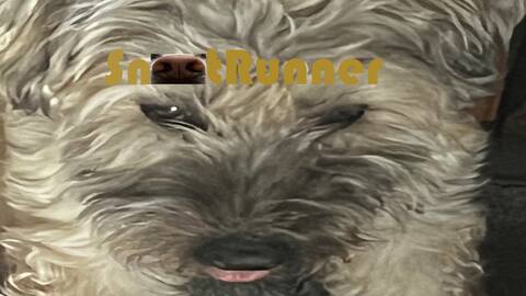 Snoot Runner