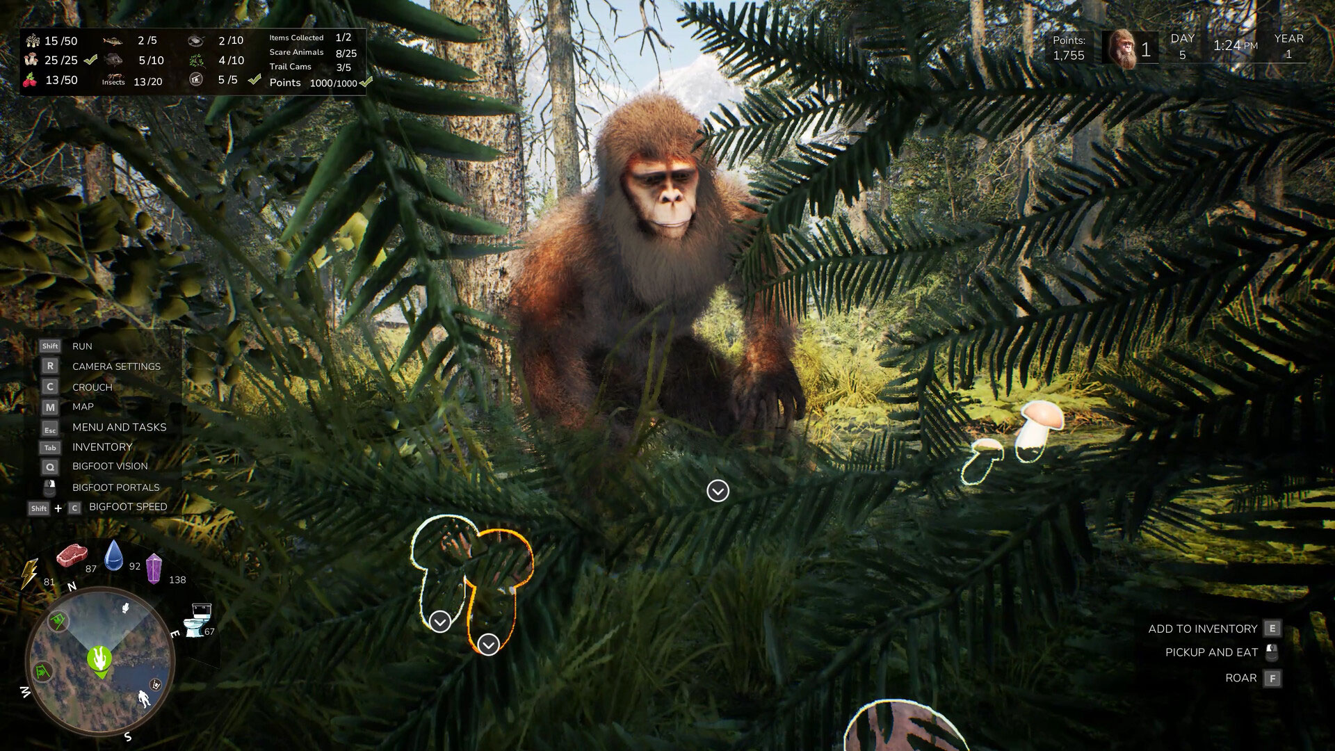 Bigfoot Life-1dfe4