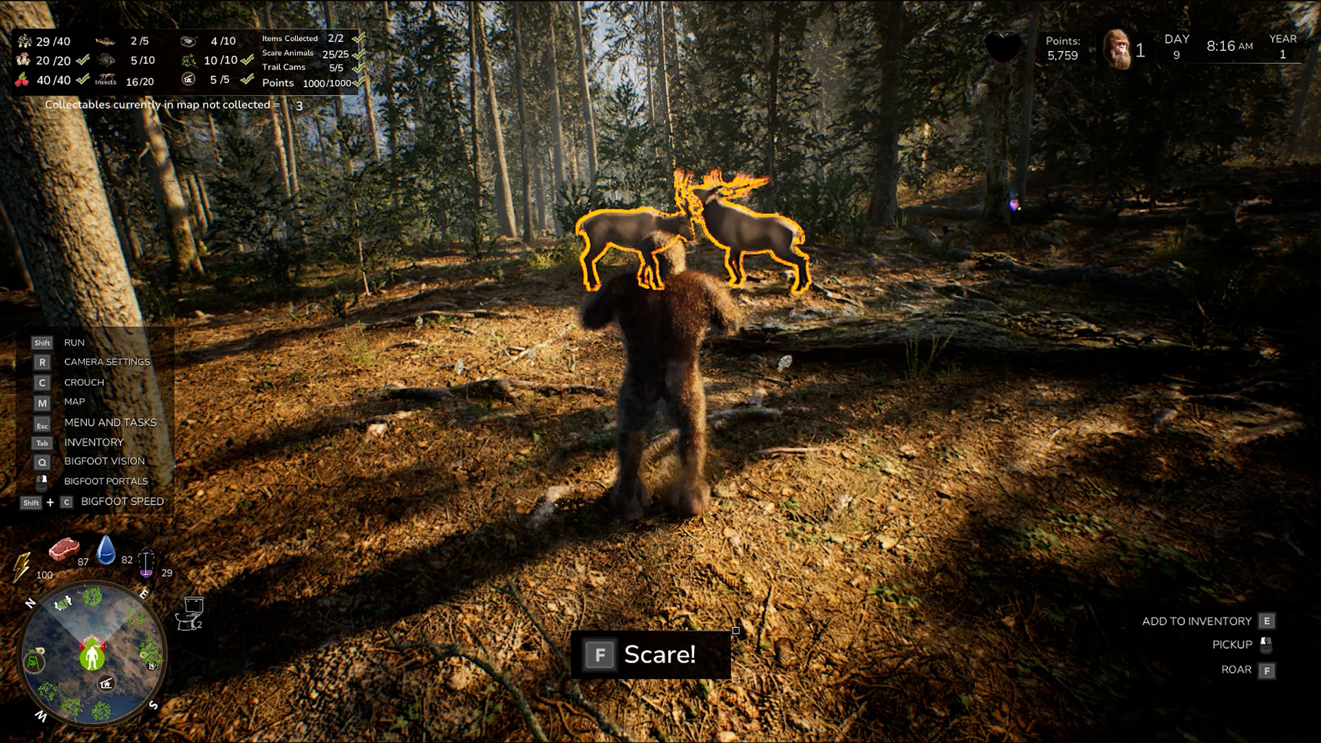 Bigfoot Life-1gy2k