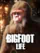 Bigfoot Life