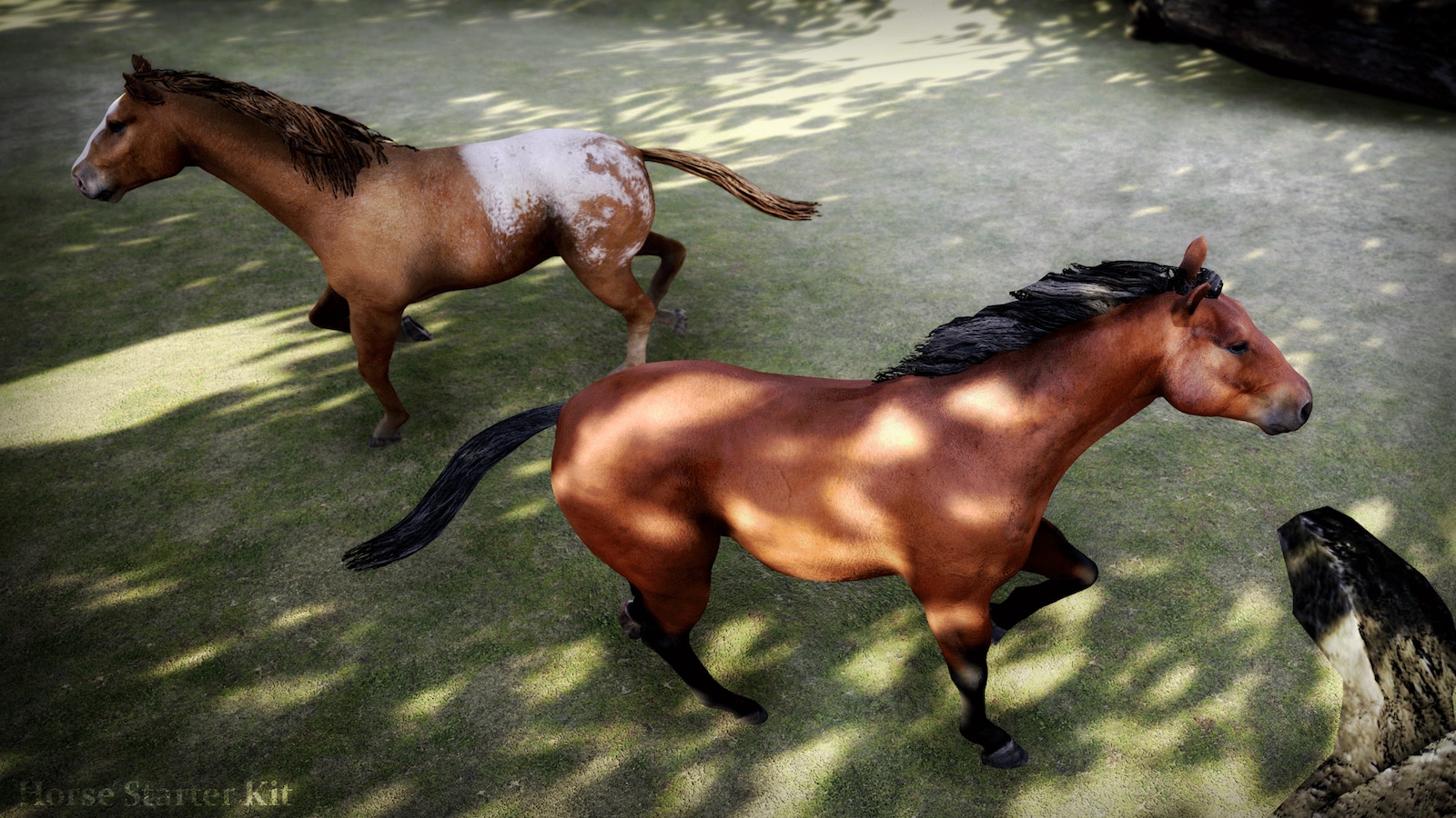 Horse Starter Kit in Characters UE Marketplace